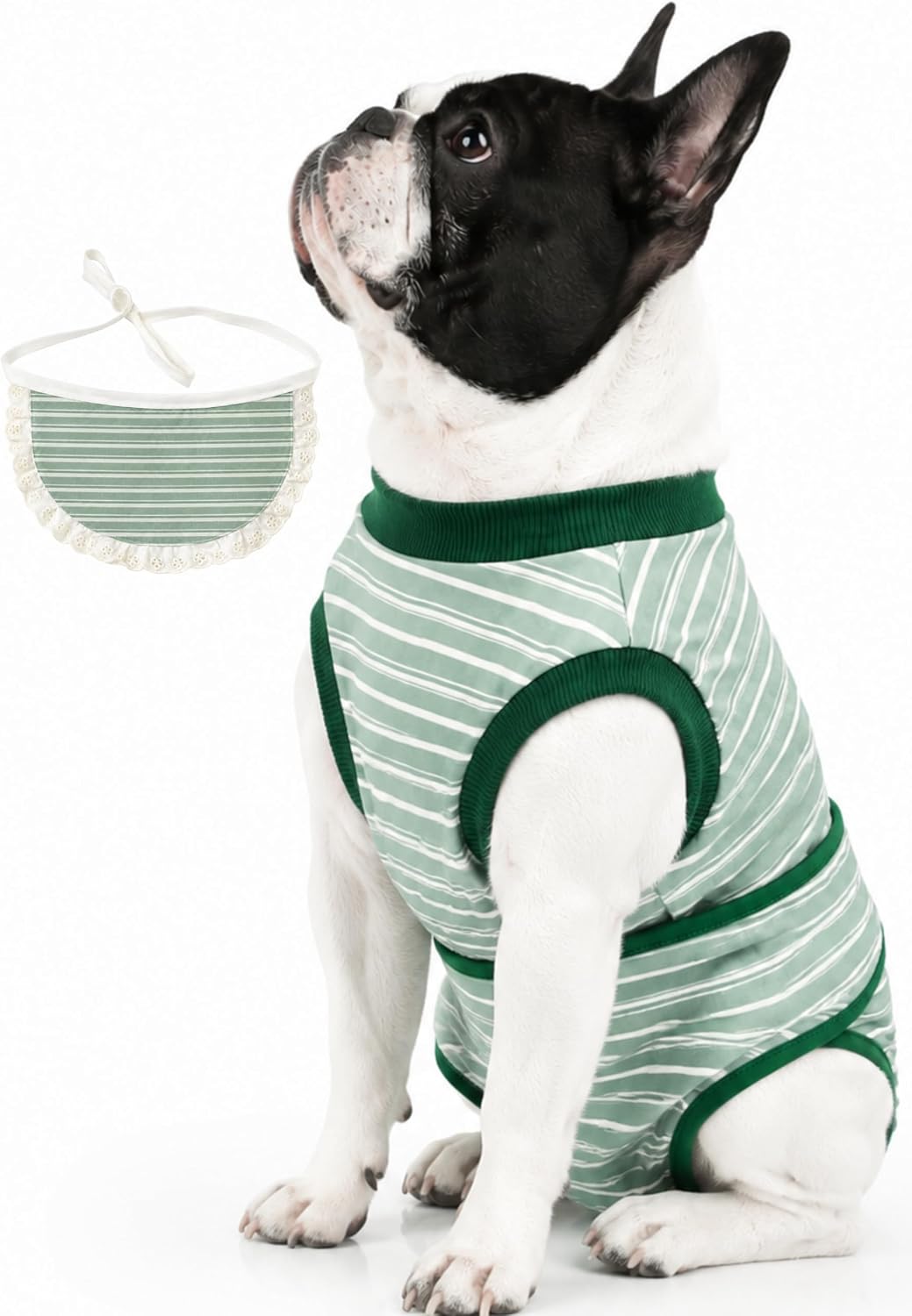 TRAJE DE RECUPERACIÓN QUIRÚRGICA PARA PERROS YIBOOAURA S+ - 1