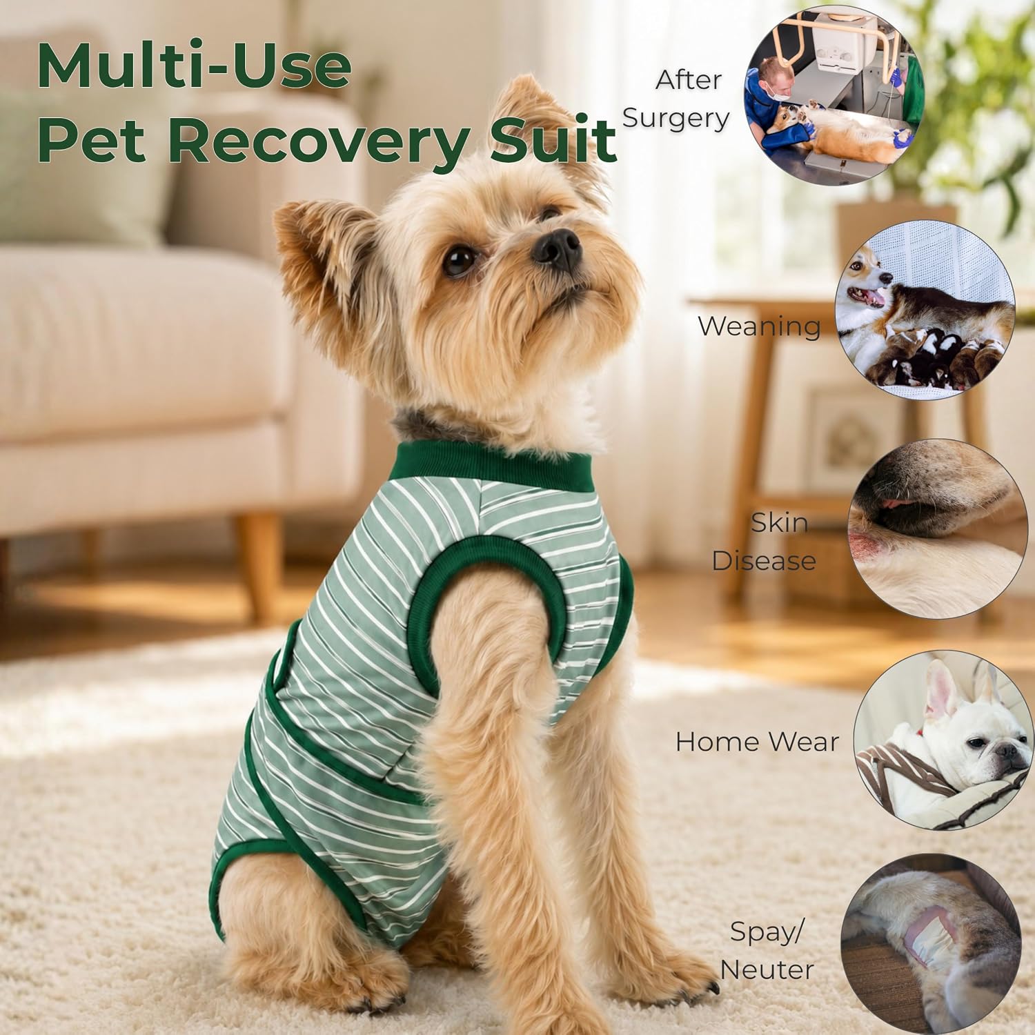 TRAJE DE RECUPERACIÓN QUIRÚRGICA PARA PERROS YIBOOAURA S+ - 2