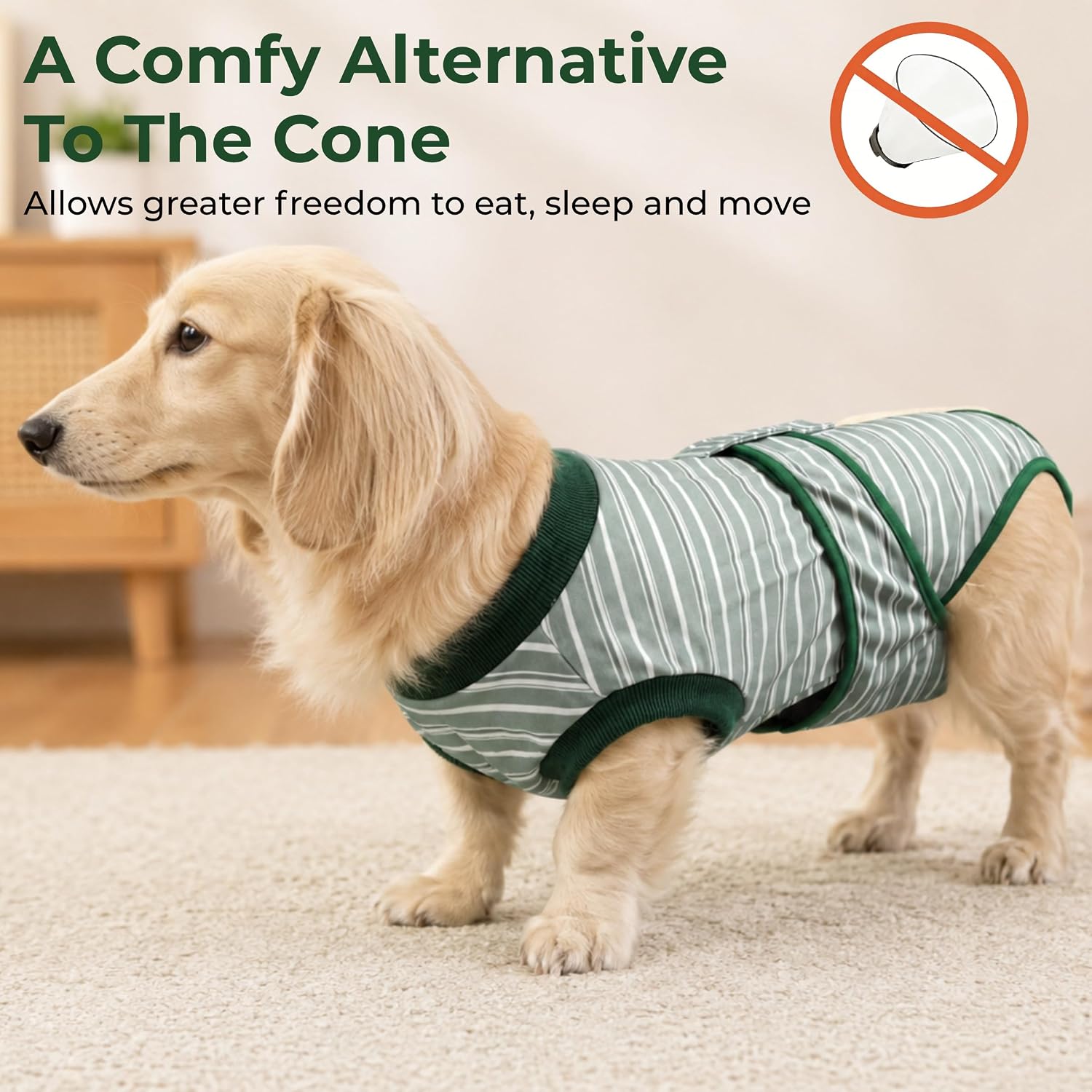TRAJE DE RECUPERACIÓN QUIRÚRGICA PARA PERROS YIBOOAURA S+ - 5