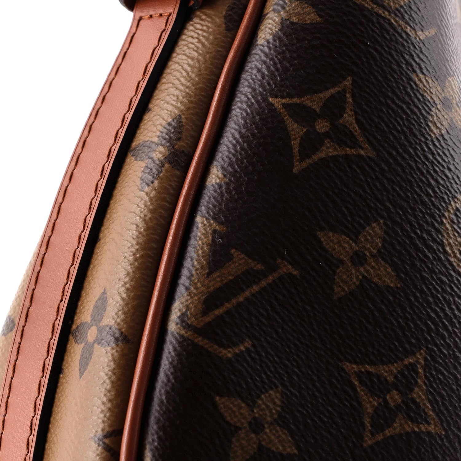 CARTERA LOUIS VUITTON LOOP HOBO REVERSE MONOGRAM CANVAS MARRÓN - 2