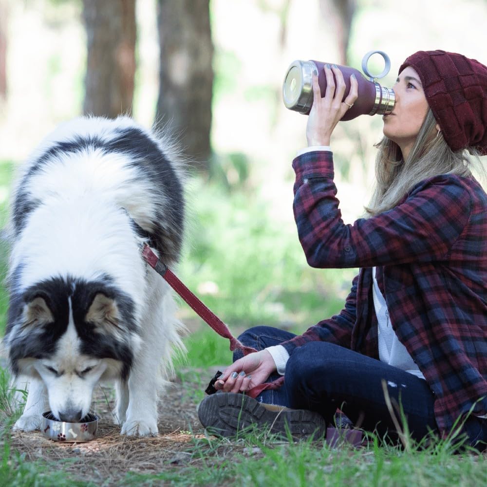 BOTELLA DE AGUA ASOBU BUDDY BOTTLE ACERO INOXIDABLE AISLANTE CON TAZÓN DESMONTABLE PARA PERRO BURDEO 37 OZ - 2