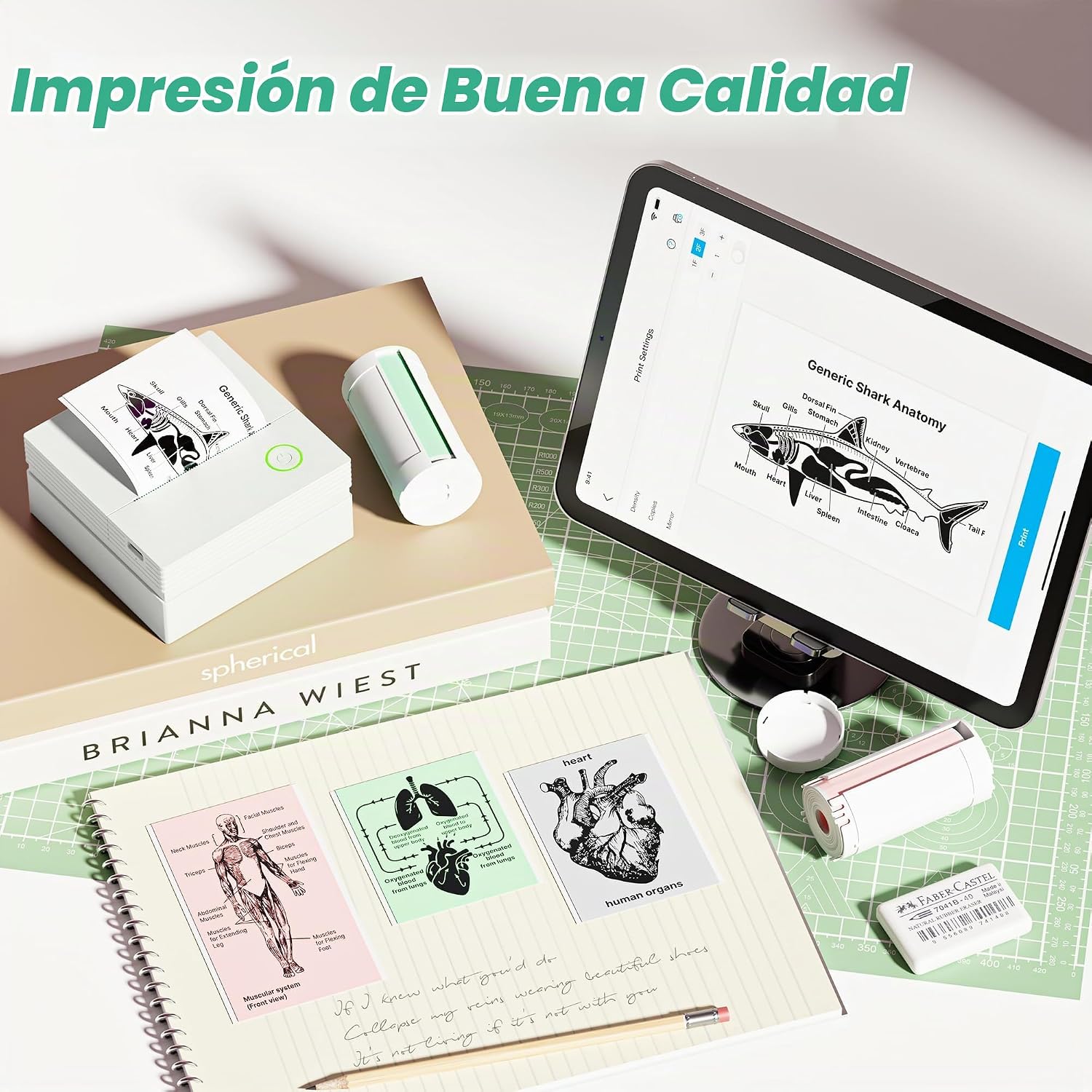 IMPRESORA DE ETIQUETAS TYPONOS PM290 CON 3 ROLLOS DE PAPEL TÉRMICO - 5