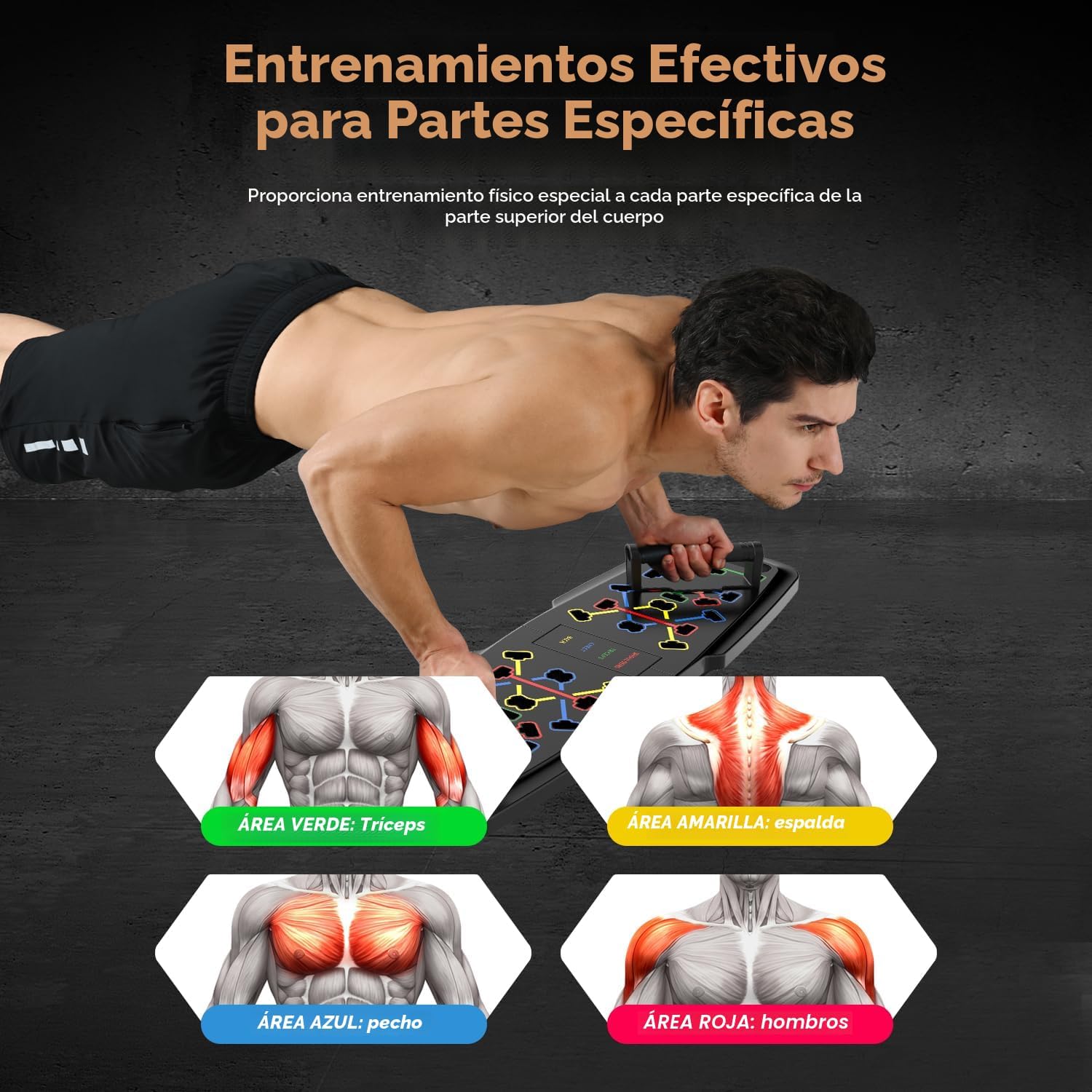 MINIGIMNASIO MQRW PUSH UP BOARD CON ACCESORIOS Y BANDAS DE RESISTENCIA - 2