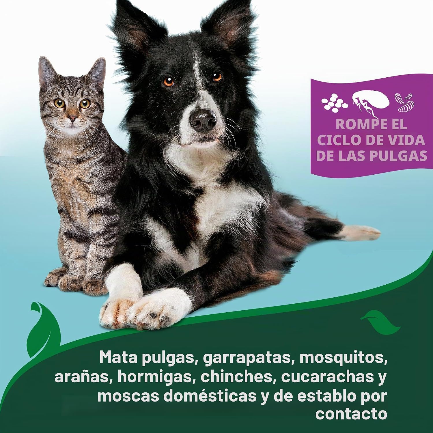 BAÑO SECO ANTIPULGAS Y GARRAPATAS PARA GATOS VET'S BEST 5 OZ - 3