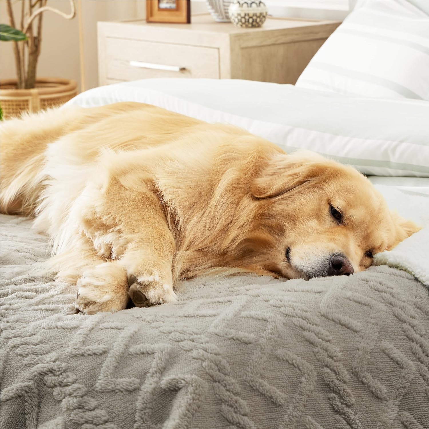 MANTA IMPERMEABLE PARA PERRO BEDSURE QUEEN 86X90 CM PALO ROBLE - 5