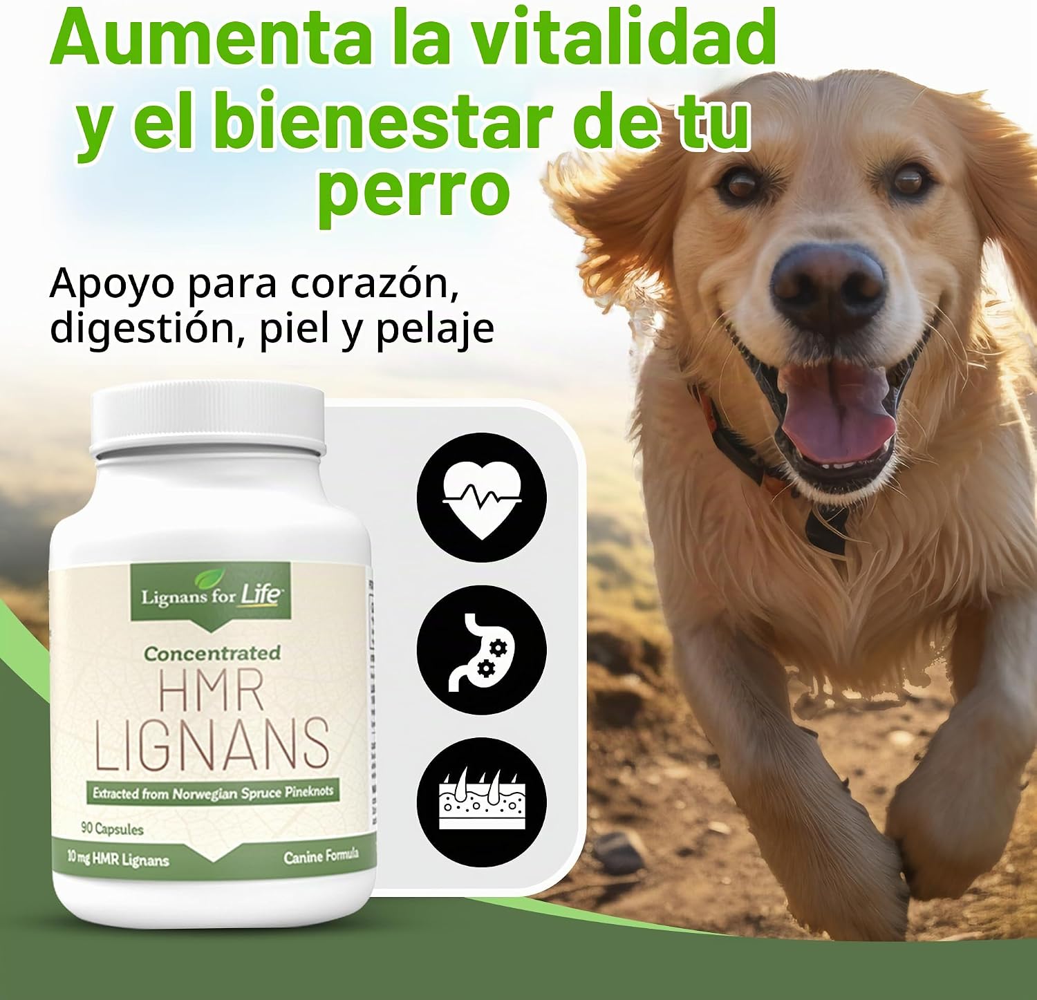 SUPLEMENTO PARA PERROS LIGNANS FOR LIFE HMR LIGNANS 10MG CÁPSULAS PARA RAZAS PEQUEÑAS - 3