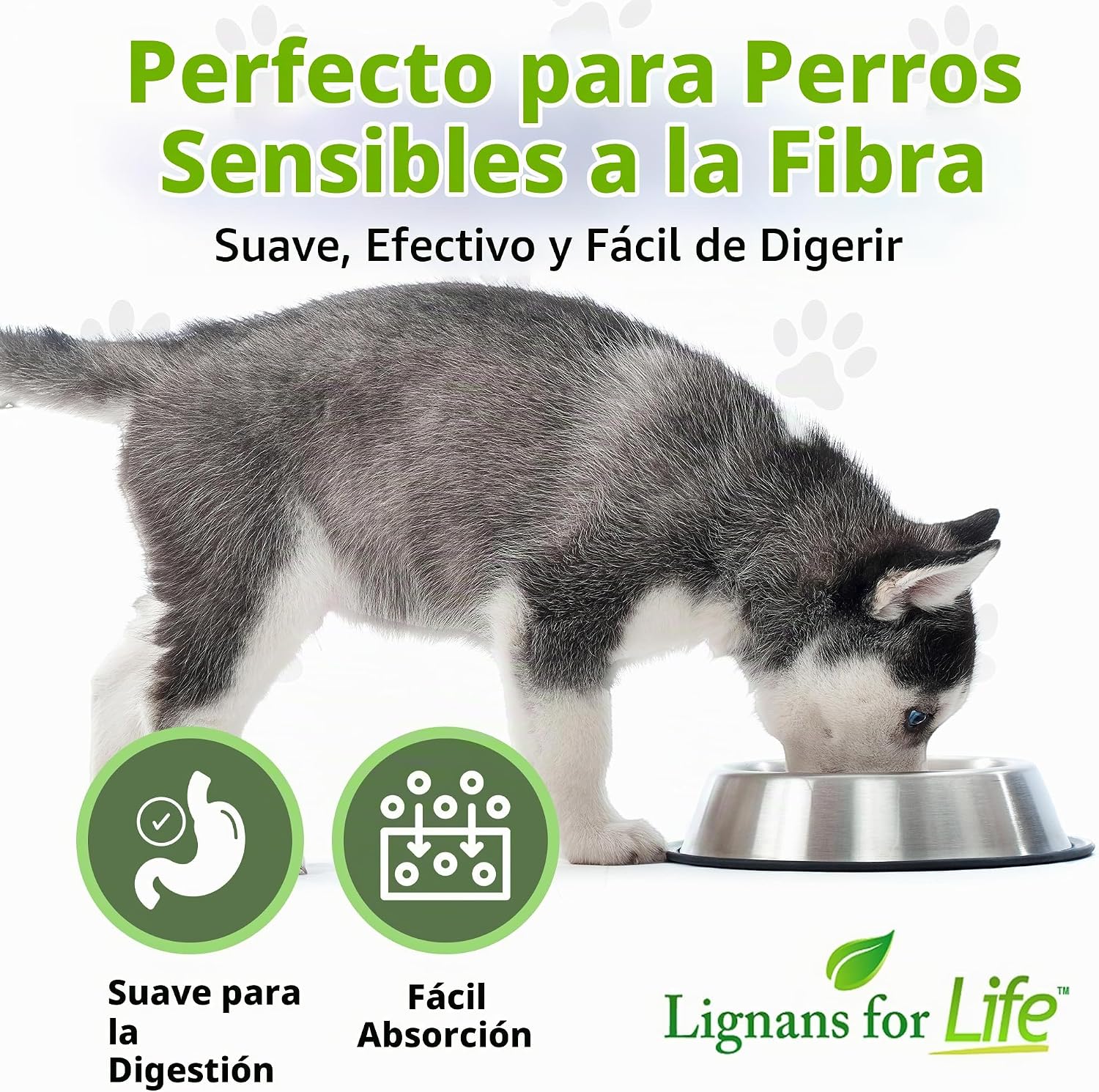 SUPLEMENTO PARA PERROS LIGNANS FOR LIFE HMR LIGNANS 10MG CÁPSULAS PARA RAZAS PEQUEÑAS - 5