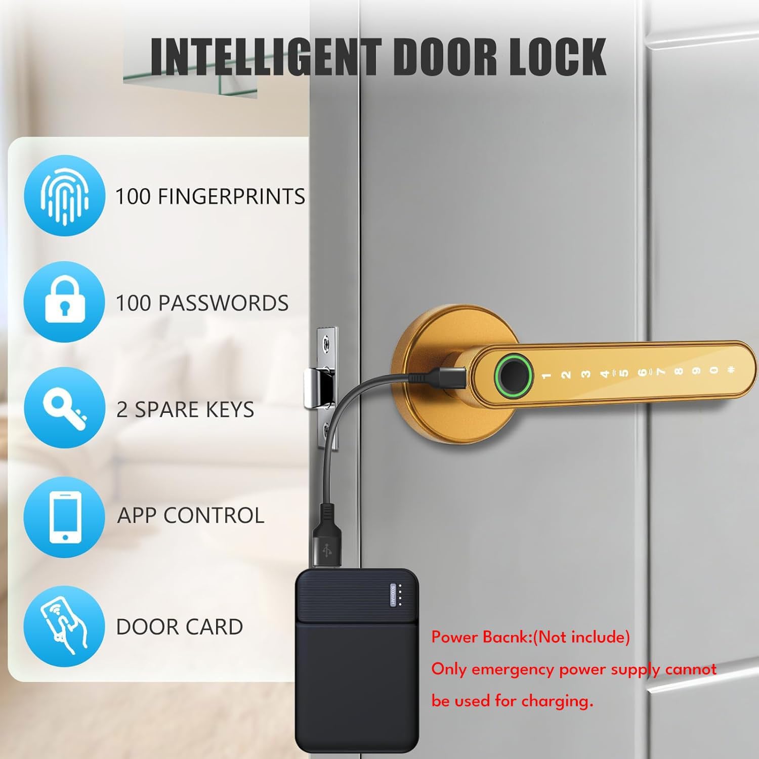 MANIJA PARA PUERTA EVANSHOW SMART DOOR LOCK CON HUELLA Y CÓDIGO DORADO - 2