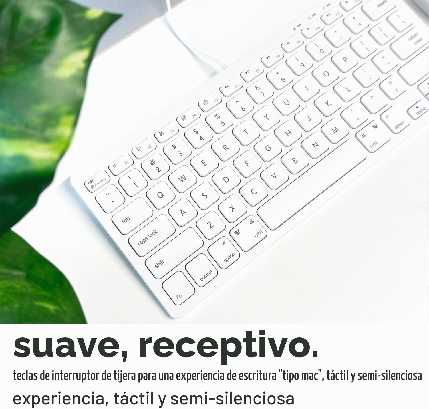 TECLADO USB MACALLY CON 78 TECLAS Y 13 ACCESOS DIRECTOS BLANCO - 5
