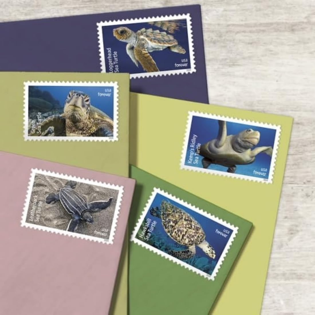 SOBRES UNITED STATES POSTAL SERVICE PROTECT SEA TURTLES 2024 90 SELLOS - 2