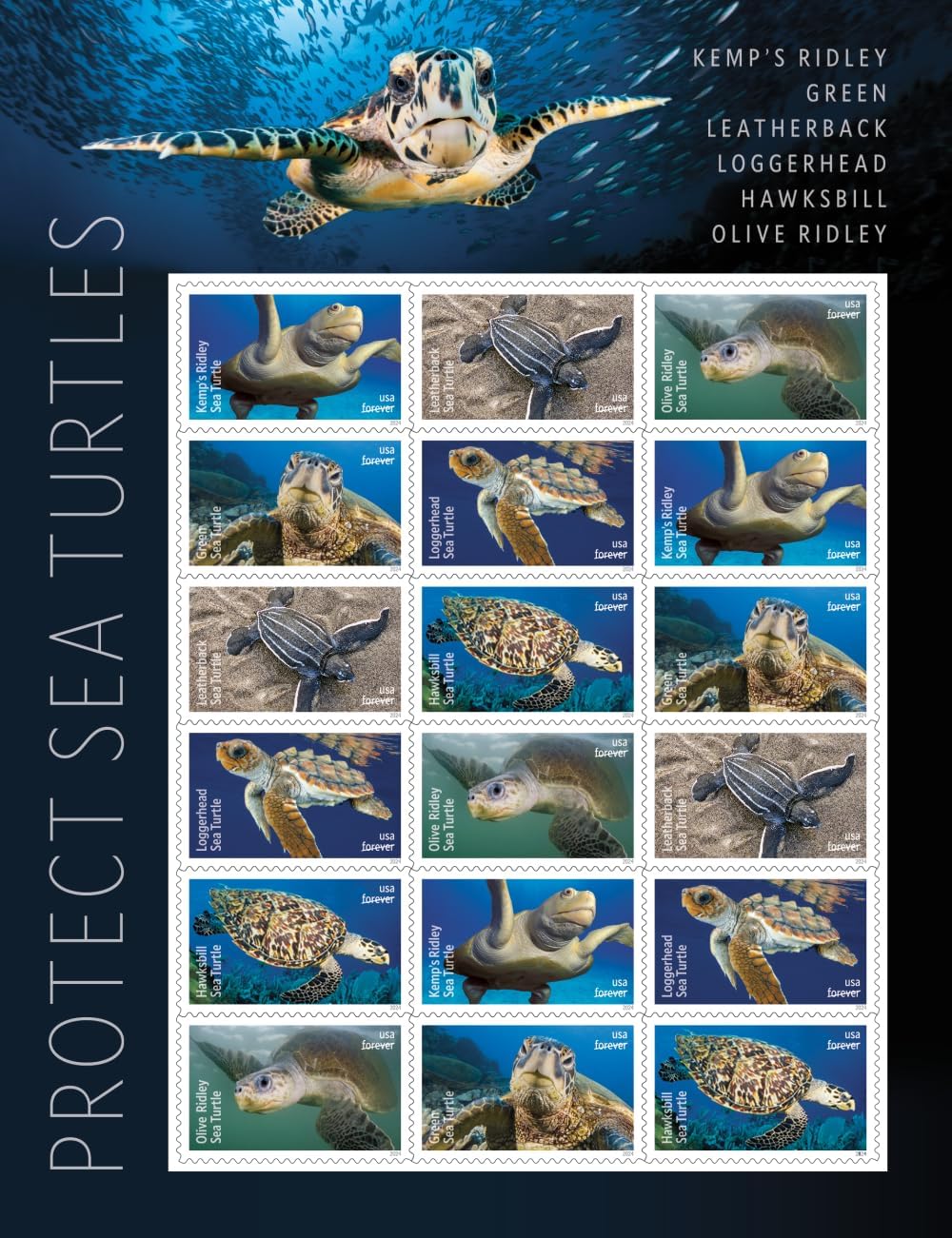 SOBRES UNITED STATES POSTAL SERVICE PROTECT SEA TURTLES 2024 90 SELLOS - 3