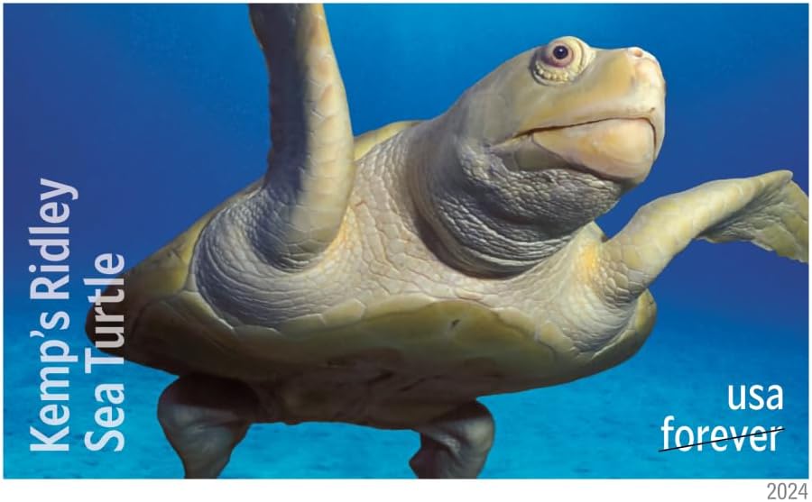 SOBRES UNITED STATES POSTAL SERVICE PROTECT SEA TURTLES 2024 36 SELLOS - 4