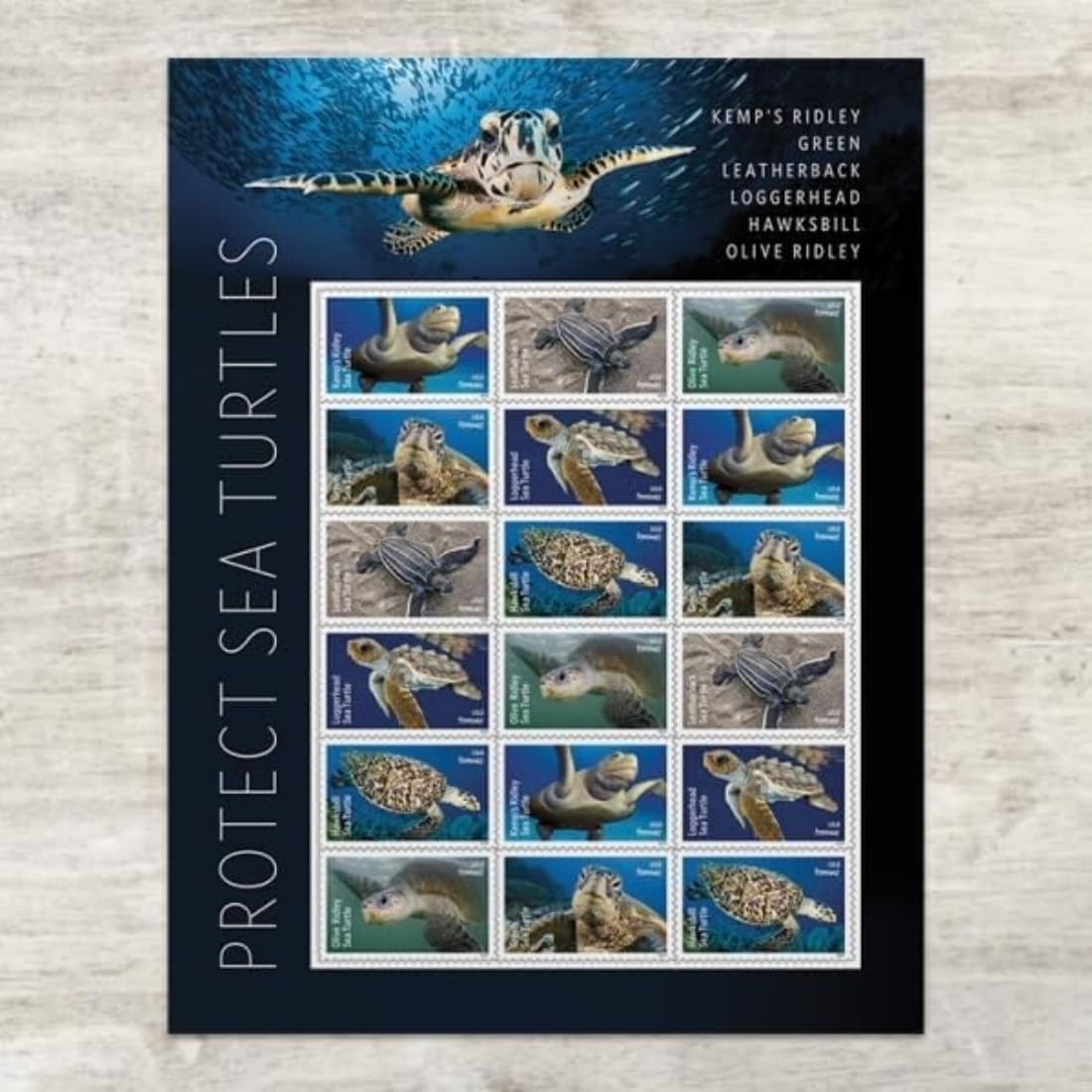 SOBRES UNITED STATES POSTAL SERVICE PROTECT SEA TURTLES 2024 CON 18 ESTAMPILLAS - 1