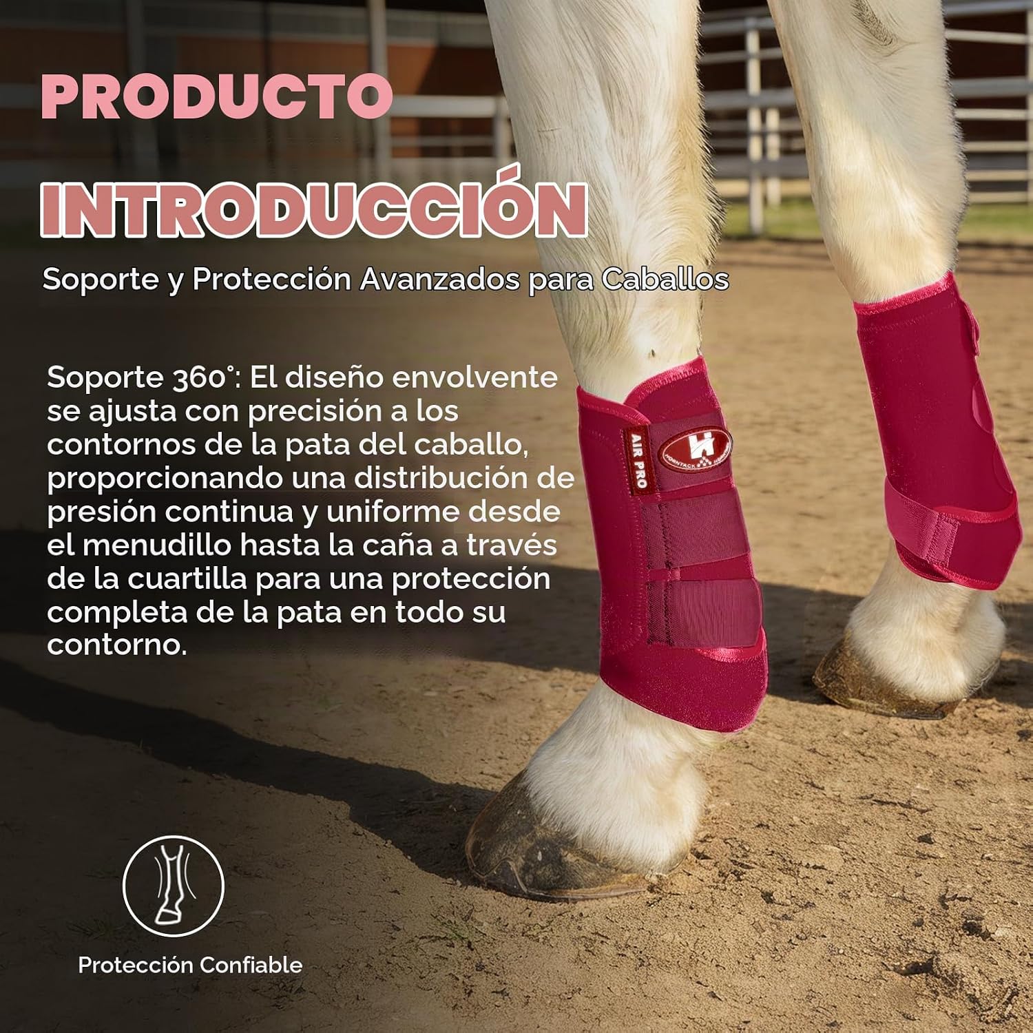 BOTAS SPLINT PARA CABALLO HORNTACK ROJO CARMESÍ GRANDE - 3