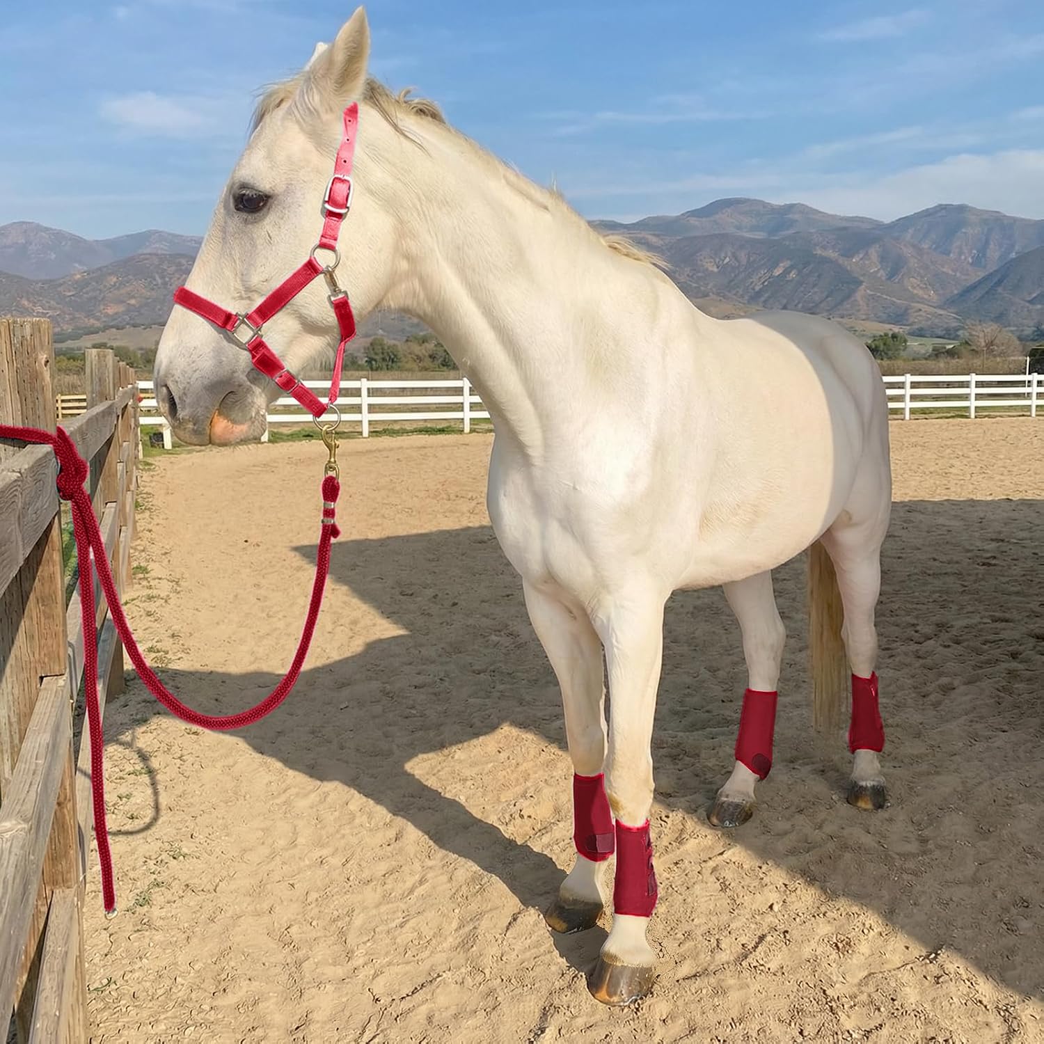 BOTAS SPLINT PARA CABALLO HORNTACK ROJO CARMESÍ GRANDE - 4