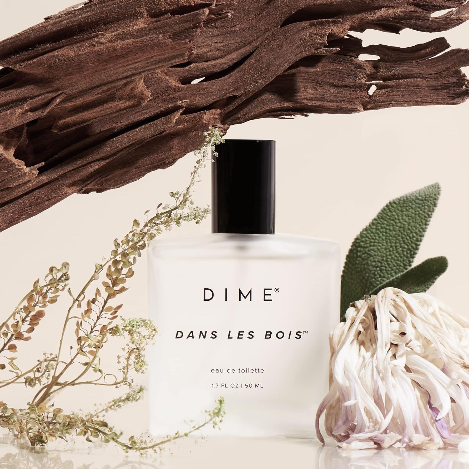 PERFUME DIME BEAUTY DANS LES BOIS 50 ML - 3
