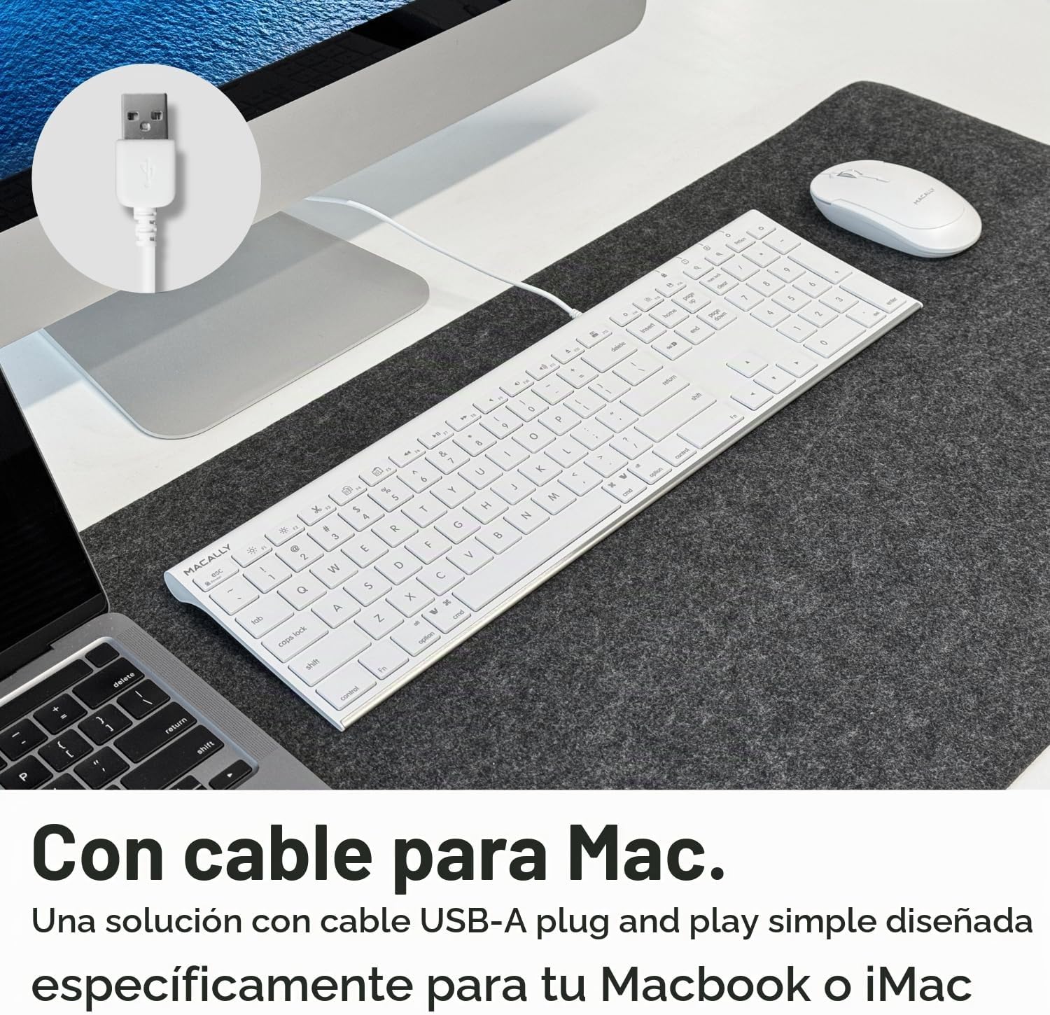 TECLADO USB CON CABLE MACALLY SLIM PARA MAC Y WINDOWS CON TECLADO NUMÉRICO - 2