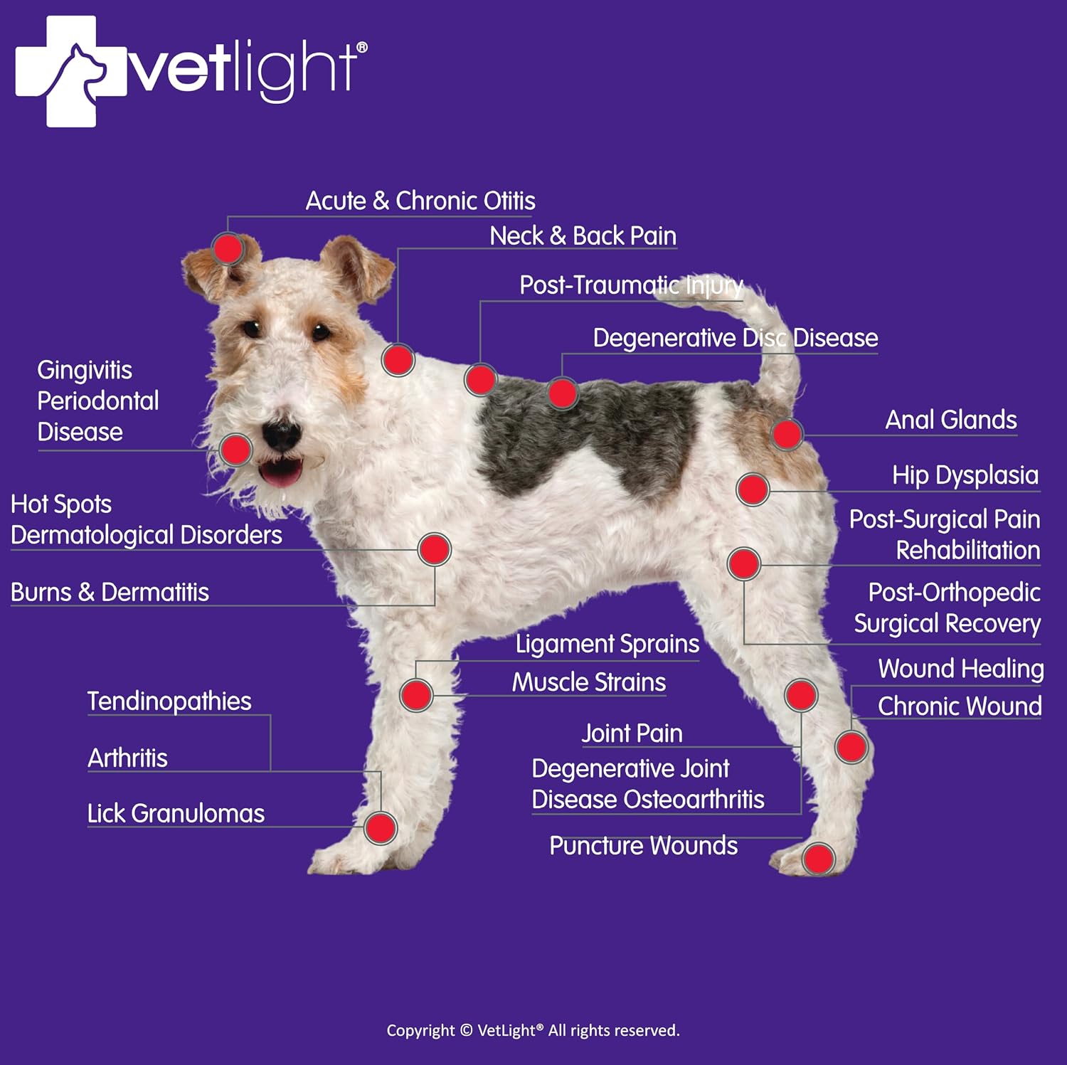 ALMOHADA TERAPÉUTICA SHINE VETLIGHT® RED Y INFRARED LED THERAPY PARA MASCOTAS - 2