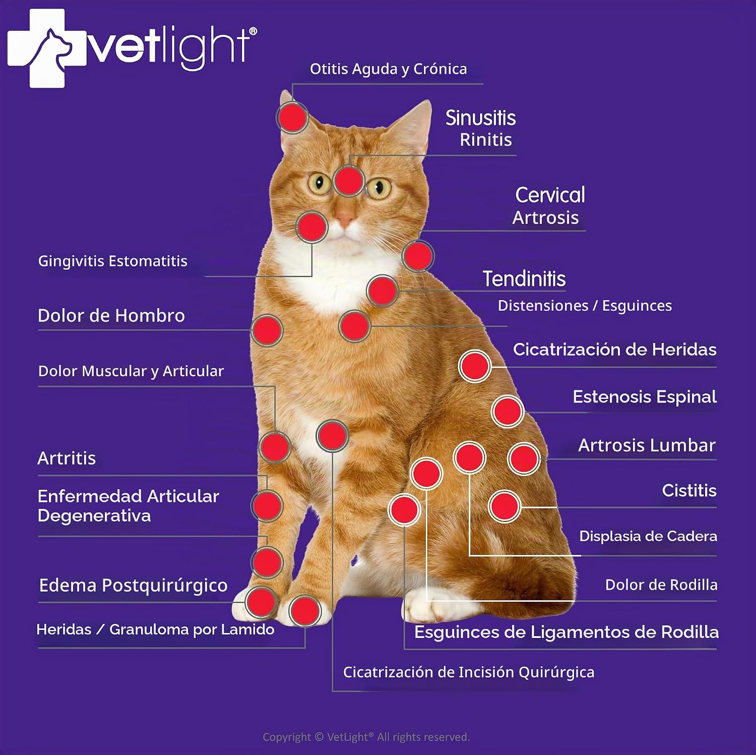 ALMOHADA TERAPÉUTICA SHINE VETLIGHT® RED Y INFRARED LED THERAPY PARA MASCOTAS - 3