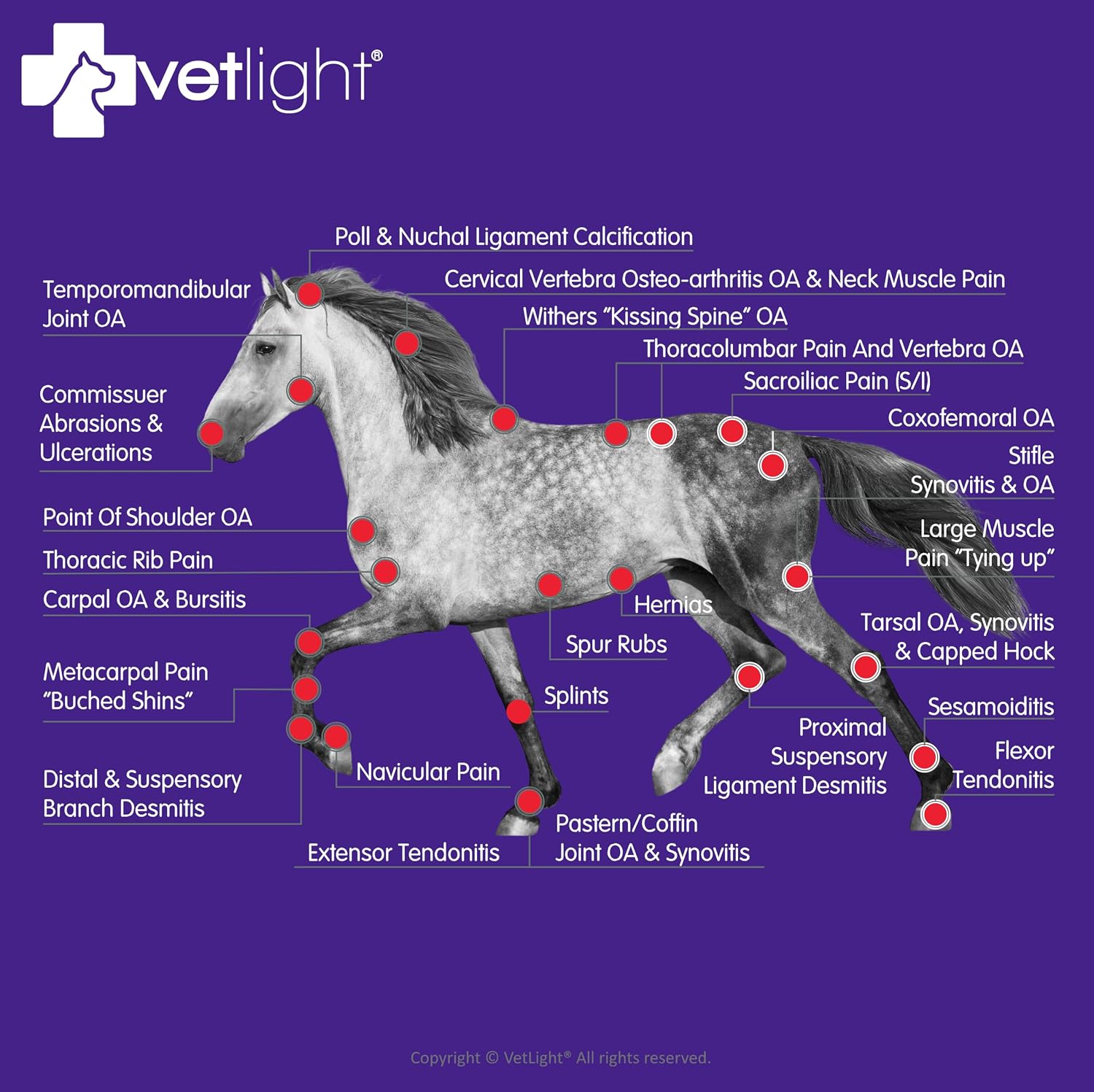 ALMOHADA TERAPÉUTICA SHINE VETLIGHT® RED Y INFRARED LED THERAPY PARA MASCOTAS - 4