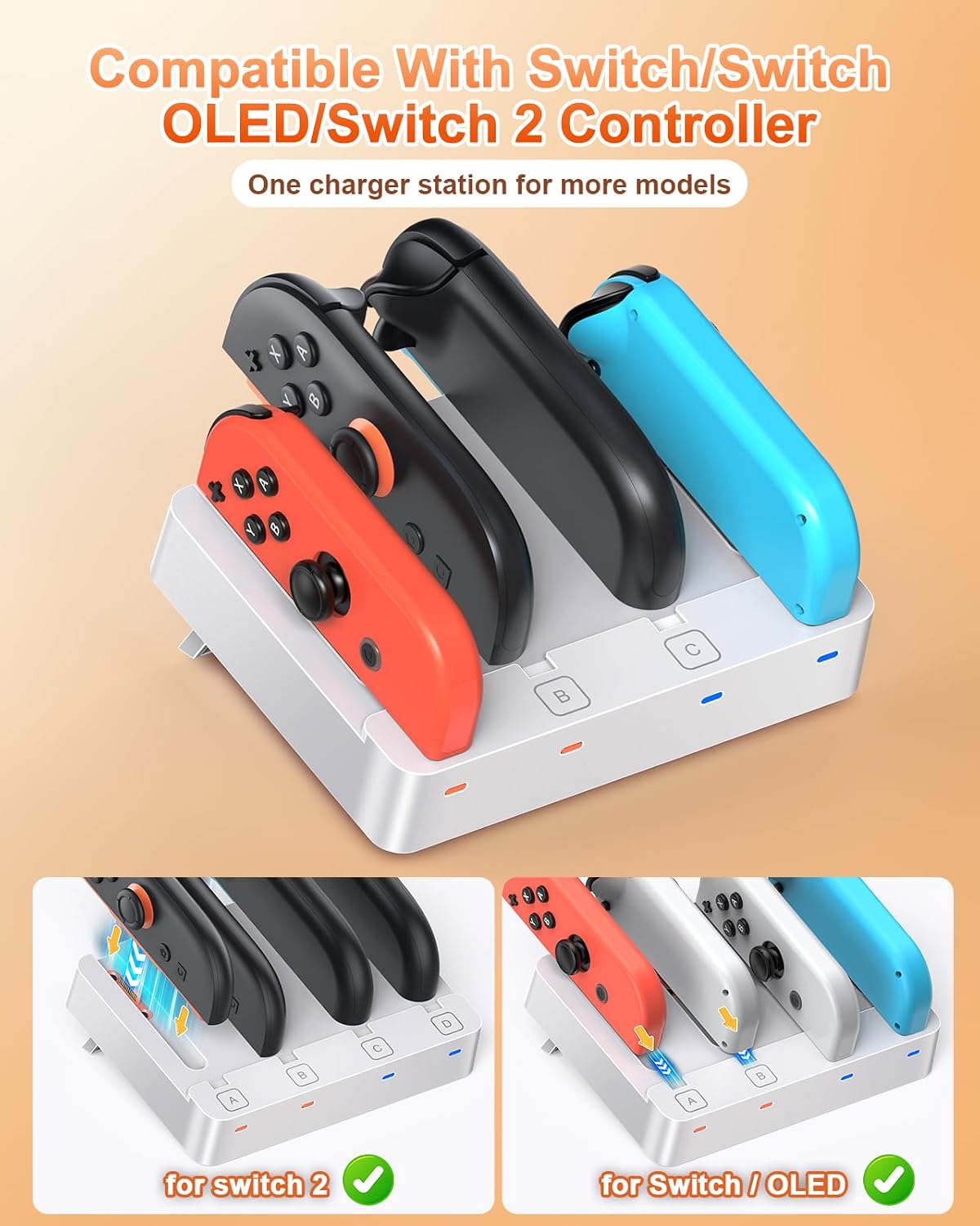BASE CARGADORA PARA CONTROLES FYOUNG SWITCH 2/1 - 2