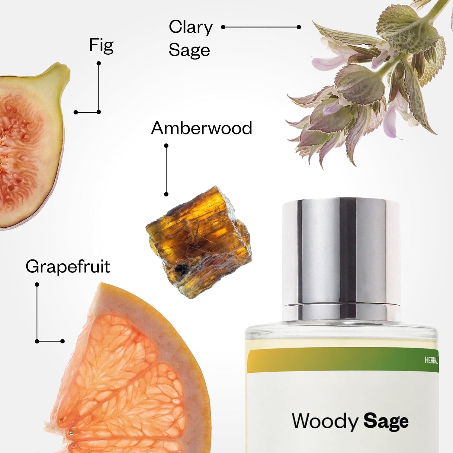 PERFUME DOSSIER WOODY SAGE INSPIRED BY WOOD SAGE Y SEA SALT UNISEX EDP 50ML - 3