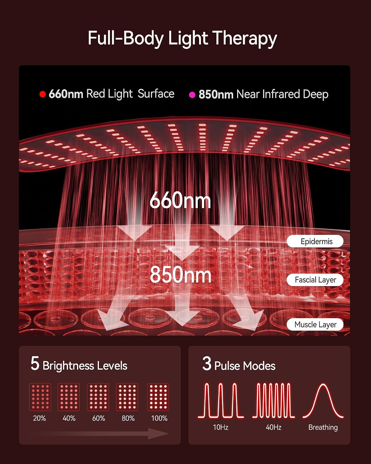 ALMOHADILLA TERAPÉUTICA FLIKEZE S2 EXTRA GRANDE CON LUZ ROJA Y 3034 LEDS - 5