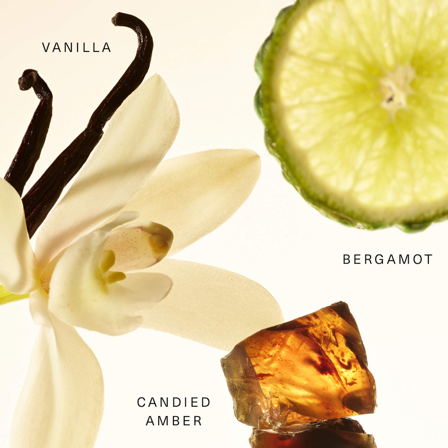 BÁLSAMO PARA FRAGANCIA AMBER VANILLA RARE 20 ML - 3