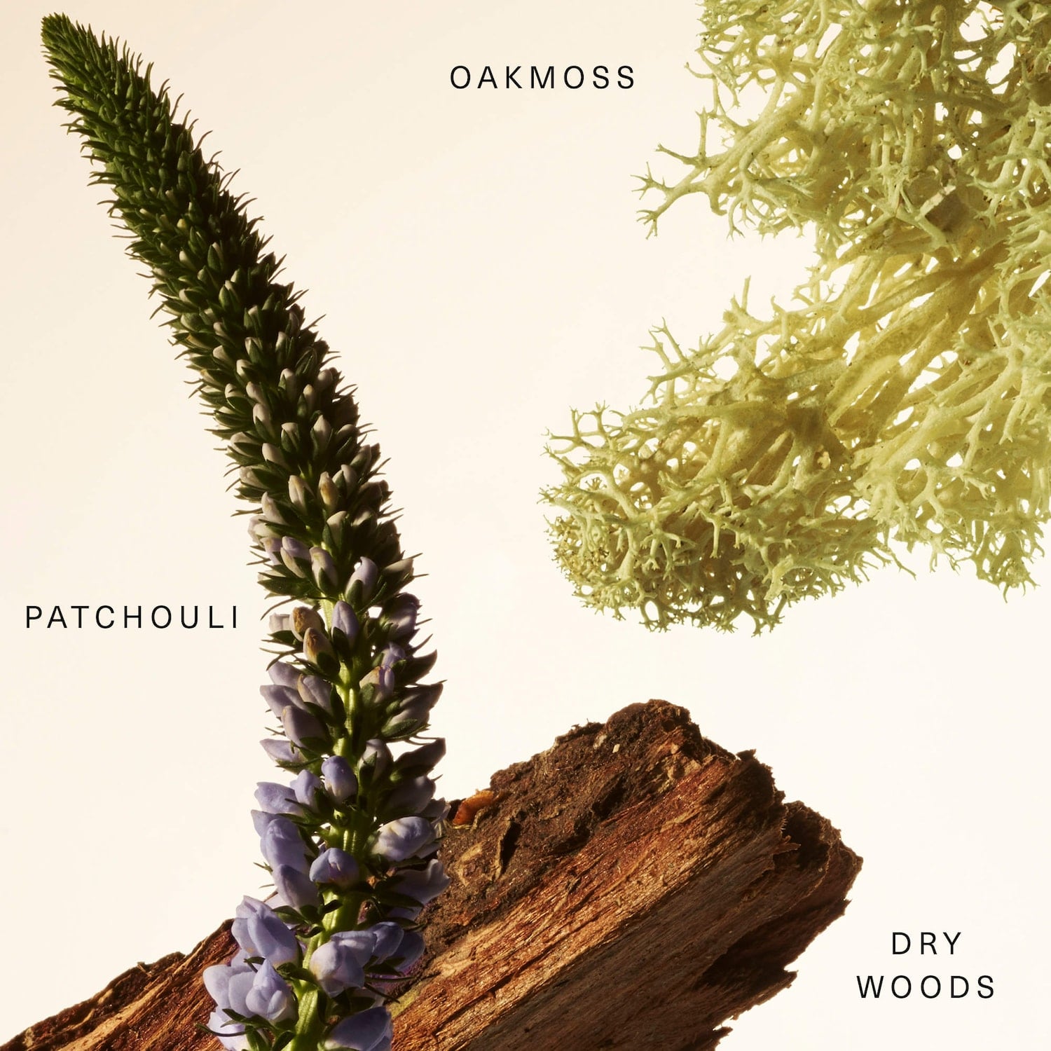 BÁLSAMO PARA PERFUME WOODY OAK RARE FRAGRANCE LAYERING BALM 20 ML - 3
