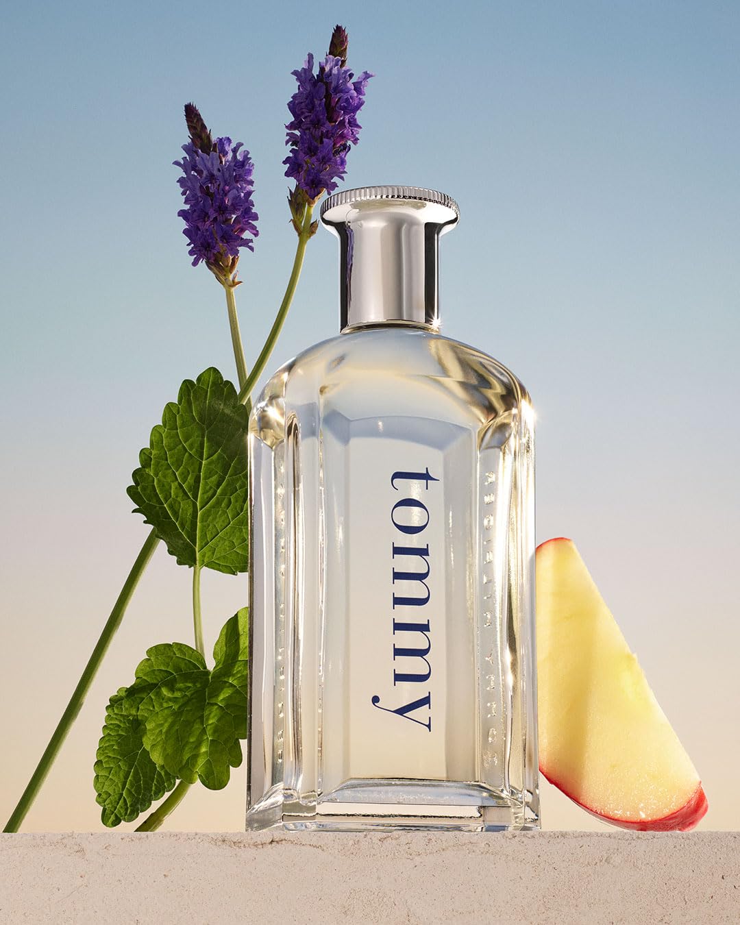 PERFUME TOMMY HILFIGER TOMMY EAU DE TOILETTE PARA HOMBRE - 3