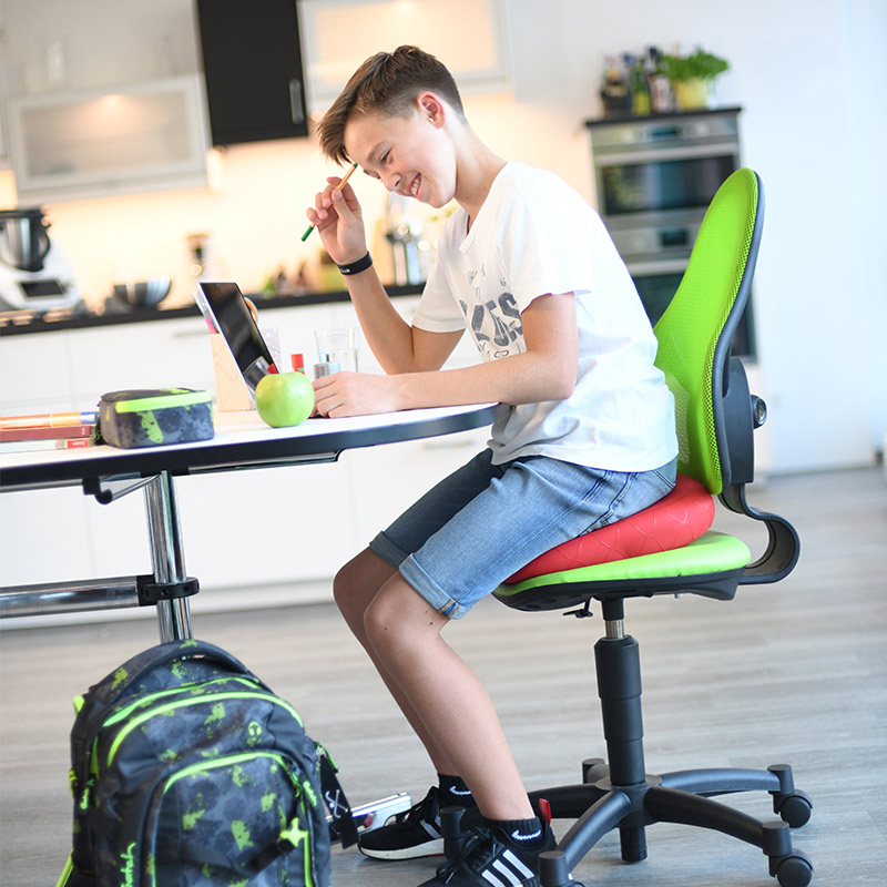 COJÍN ERGONÓMICO SISSEL SITFIT® PLUS - 2