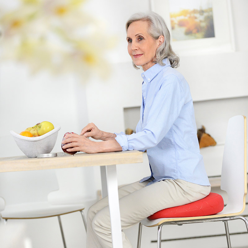 COJÍN ERGONÓMICO SISSEL SITFIT® PLUS - 4