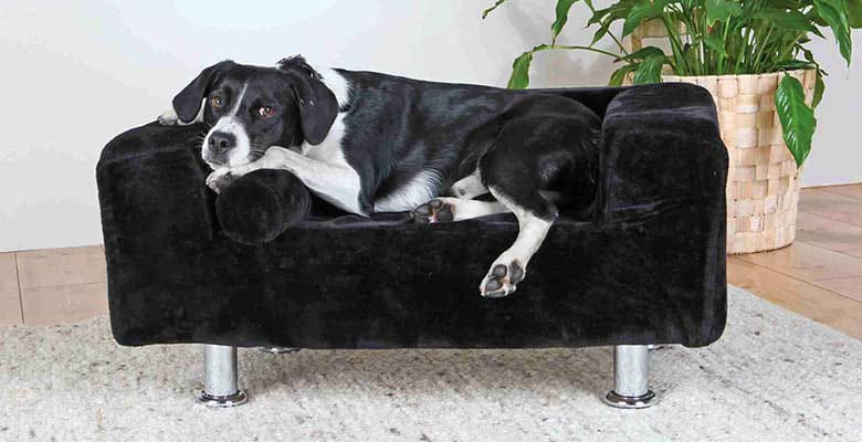 MP SOFA PET 2 PARA PERROS IXTAL - 1