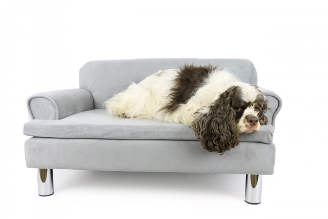 MP SOFA PET 4 PARA PERROS DEMASIA - 1