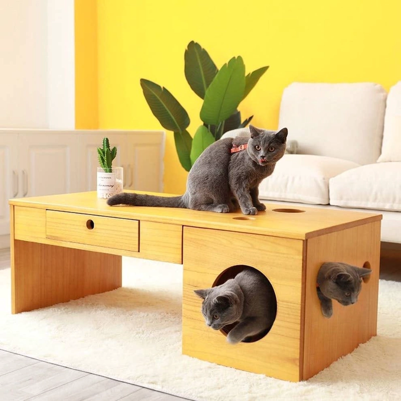MP CAMA PARA MASCOTAS Y MESA DE CENTRO ELIANA - 1