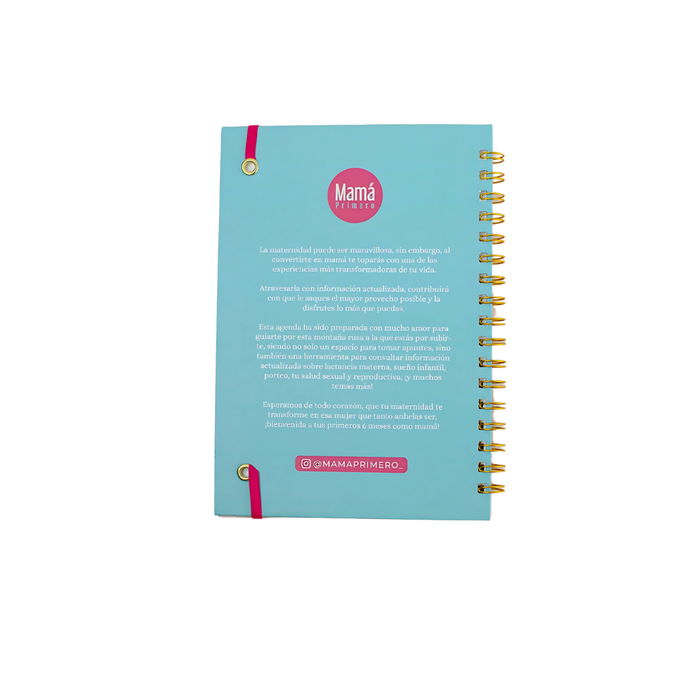 Agenda un Día a la Vez – Mis Primeros 6 Meses de Maternidad – Mamá Primero - 8