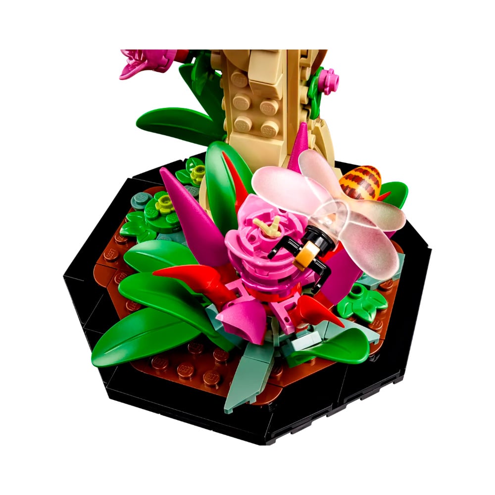 LEGO IDEAS THE INSECT COLLECTION SET AND NATURE DECO 21342 - 3