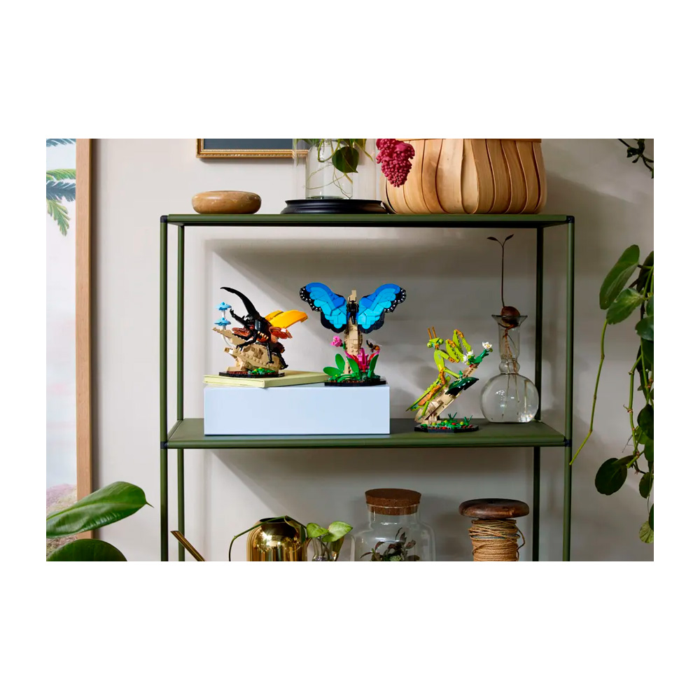 LEGO IDEAS THE INSECT COLLECTION SET AND NATURE DECO 21342 - 4