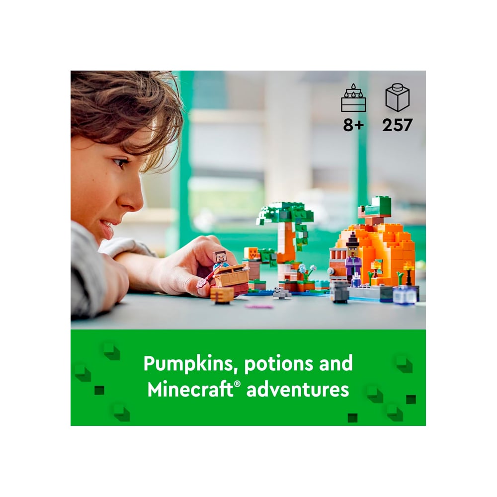 LEGO MINECRAFT THE PUMPKIN FARM 21248 - 2