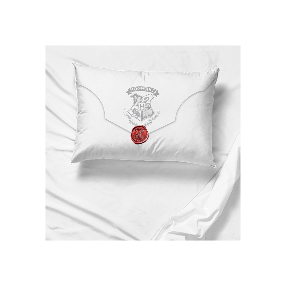 FUNDA DE ALMOHADA JAY FRANCO HARRY POTTER CON LETRAS - 3