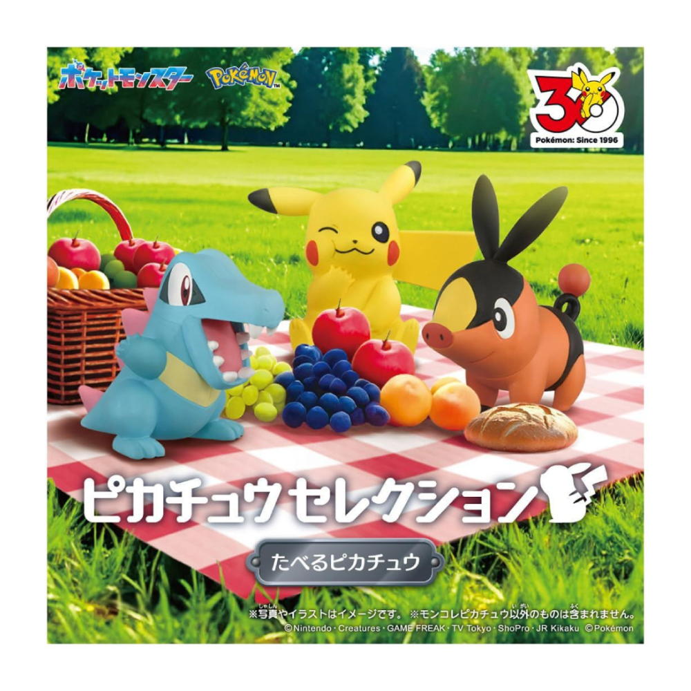 POKEMON TAKARA TOMY 30TH ANNIVERSARIO PIKACHU - 4