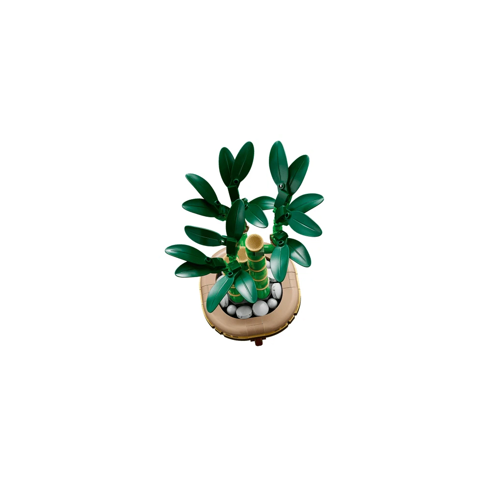 LEGO BOTANICALS EVERGREEN COLLECTOR SET 66809 - 4
