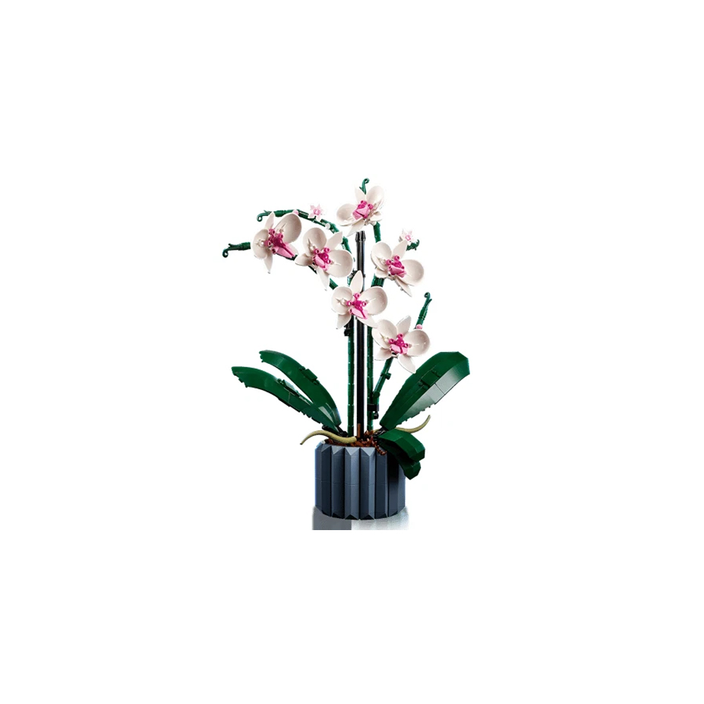 LEGO BOTANICALS EVERGREEN COLLECTOR SET 66809 - 5