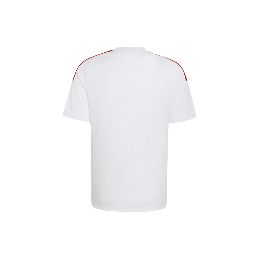 CAMISETA DNA SELECCION PERUANA 26 TALLA M - 2