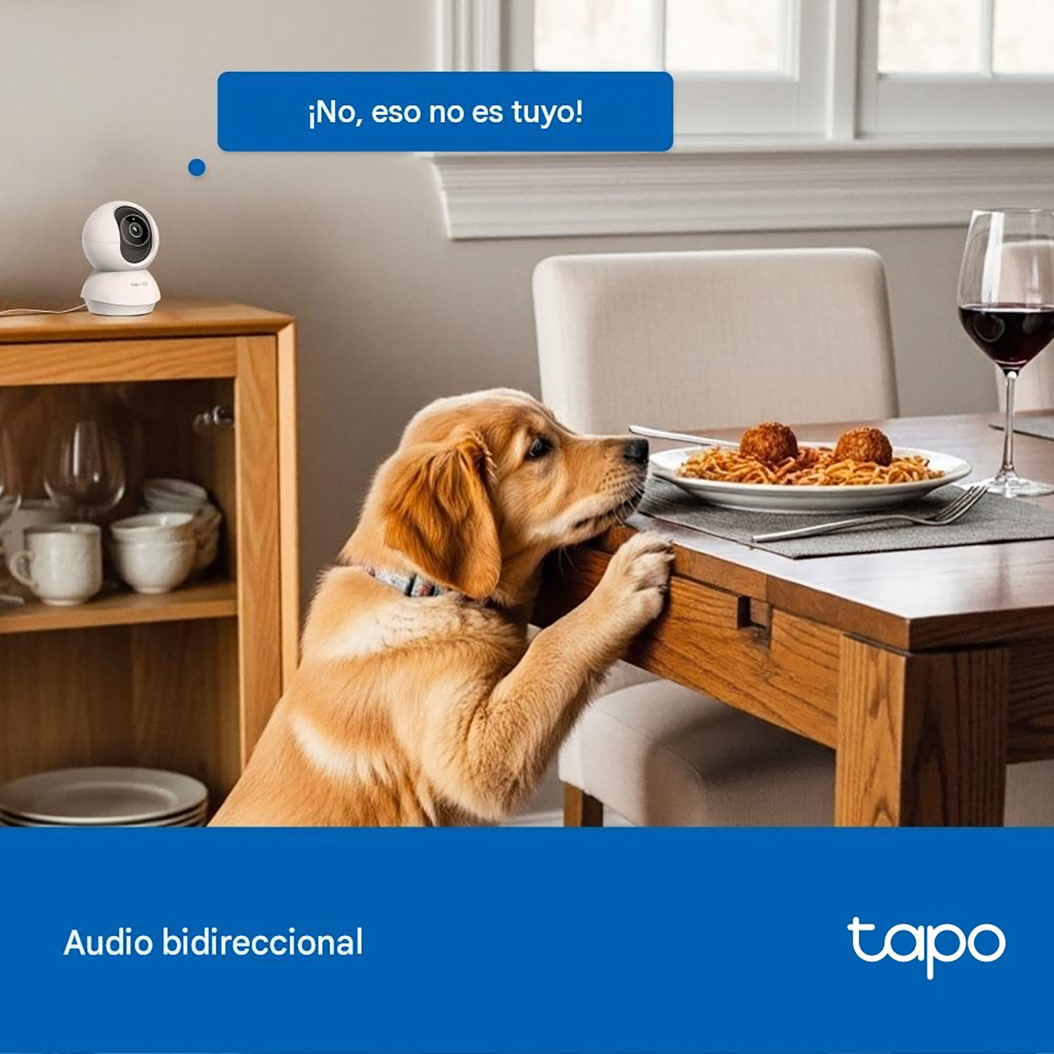 CÁMARA SEGURIDAD TAPO C250 4K 8MP + SD 128GB WIFI VISIÓN 360 DETECCIÓN IA AUDIO BIDIRECCIONAL - 4