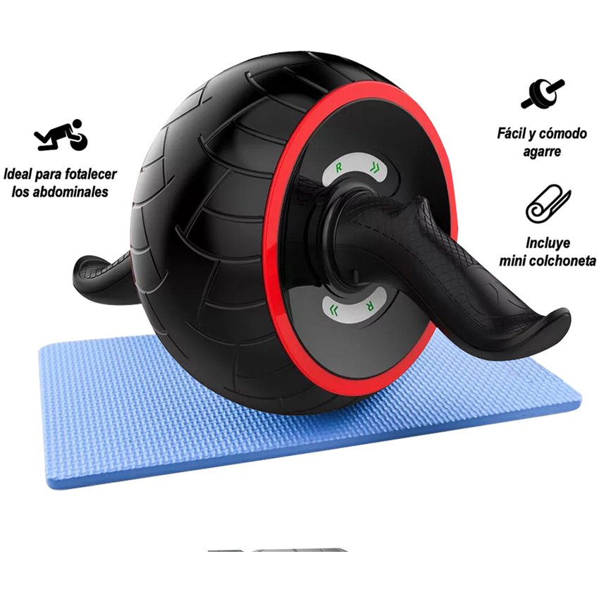 RUEDA GRANDE PARA FLEXIONES - 4