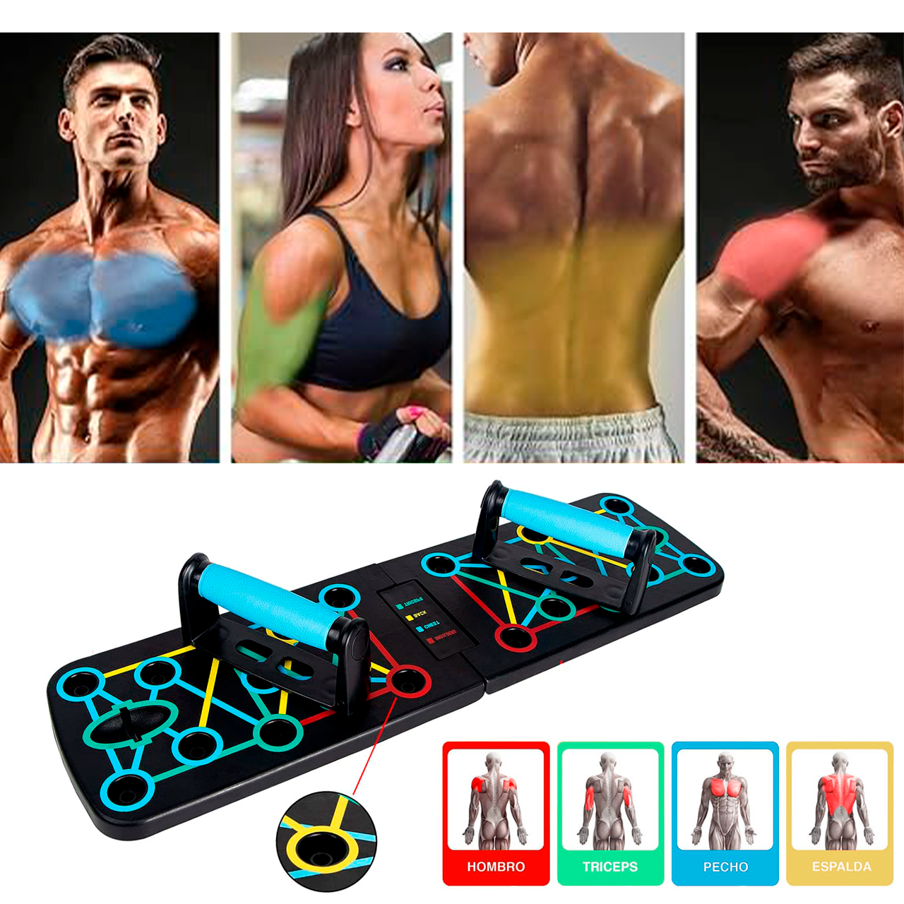 TABLA DE FLEXIONES PLEGABLE CON 2 LIGAS DE RESISTENCIA - 2