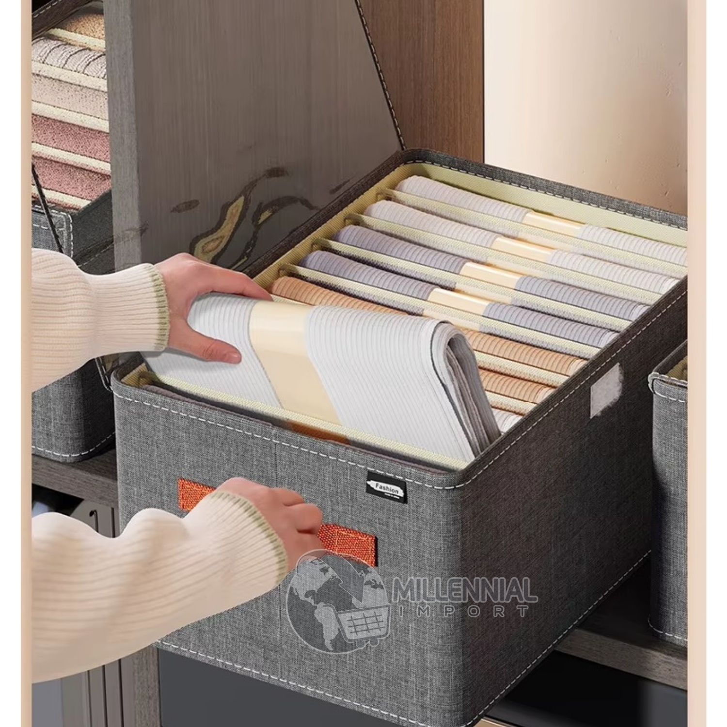 ORGANIZADOR DE ROPA CON TAPA Y DIVISIONES PLEGABLE PARA ARMARIO - 9
