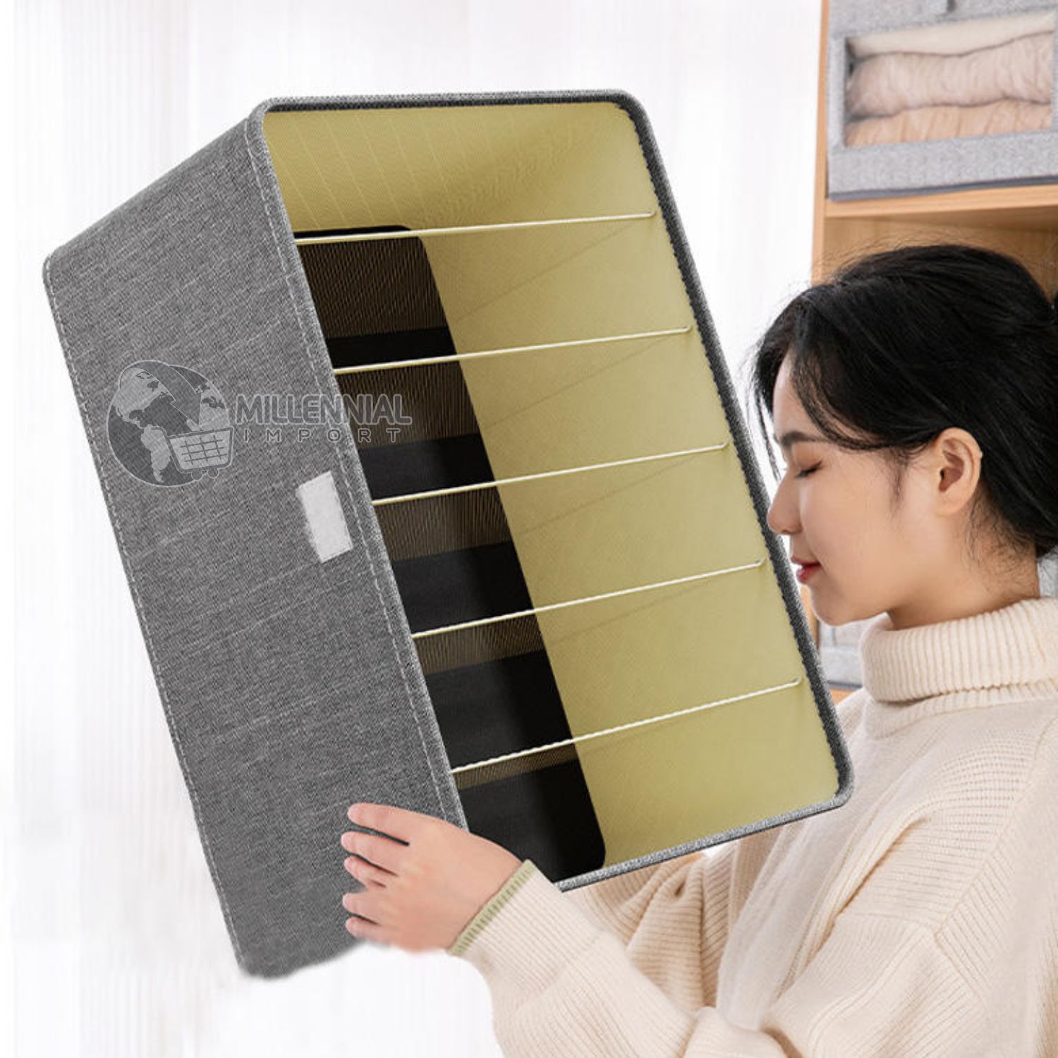 ORGANIZADOR CAJA PLEGABLE ALMACENAMIENTO PRENDAS CON TAPA Y DIVISIONES - 10