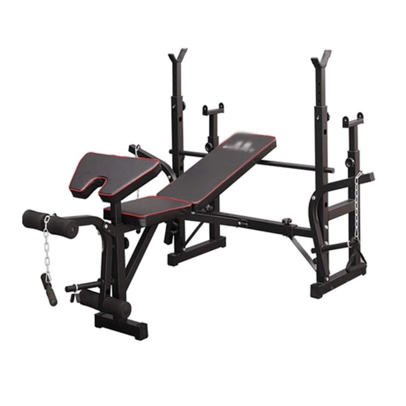 BANCO PARA PESAS DE DOBLE RACK PROFESIONAL MULTIFUNCIONAL BANCA GYM - 2
